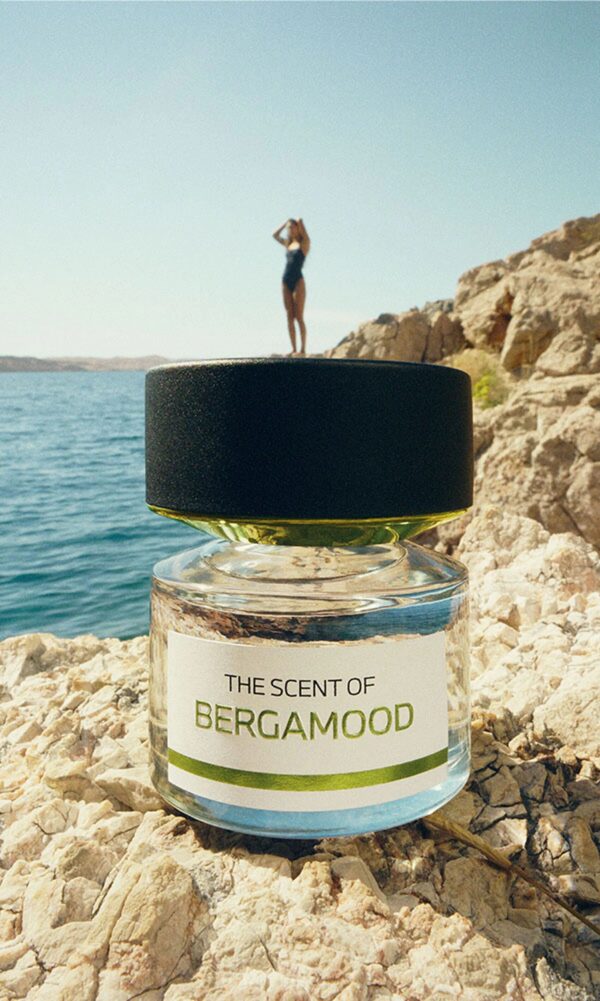 U8235B6D538-3 Bergamood BMW Fragrances for women and men