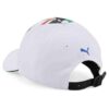 BMW M Motorsport Roy Lichtenstein Cap Unisex