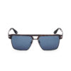 BMW Sunglasses - Havana Frame