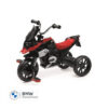 80935A7E4B5 BMW Motorrad R1200GS Pedal - Black/Red